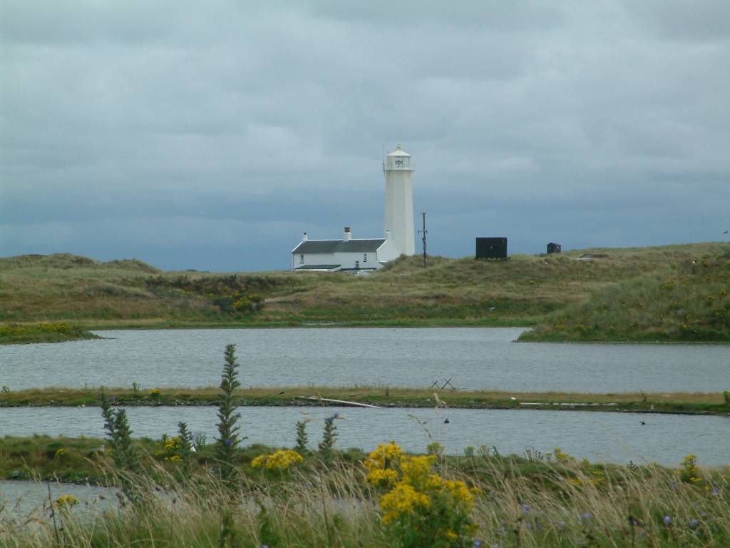 Click now to see this image full size.