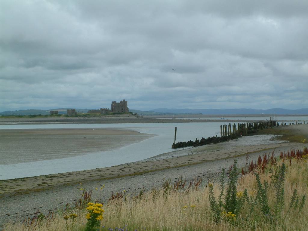 Click now to see this image full size.