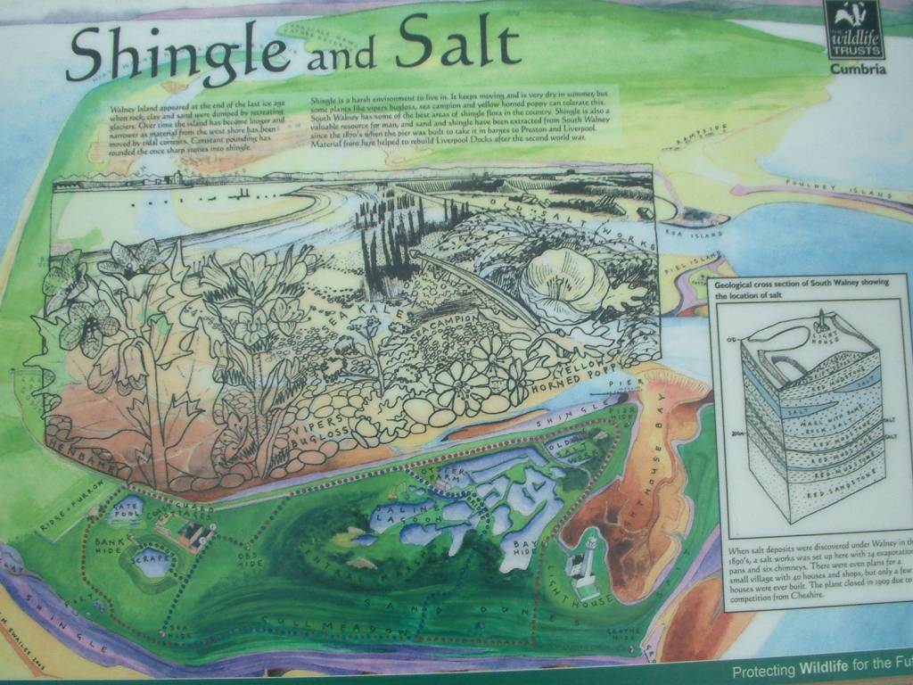 Click now to see this image full size.