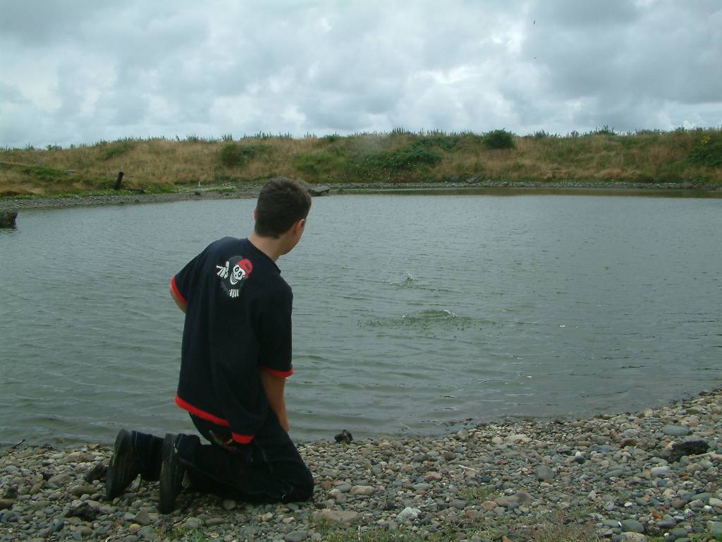 Click now to see this image full size.