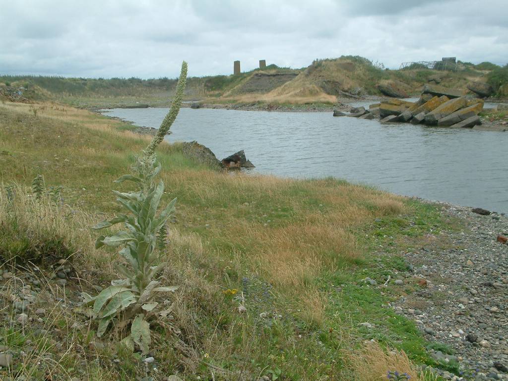 Click now to see this image full size.