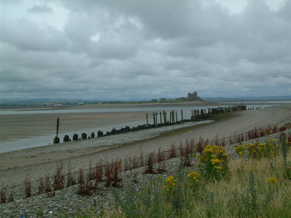 Click now to see this image full size.