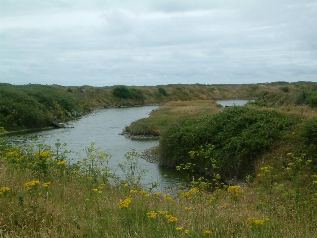 Click now to see this image full size.