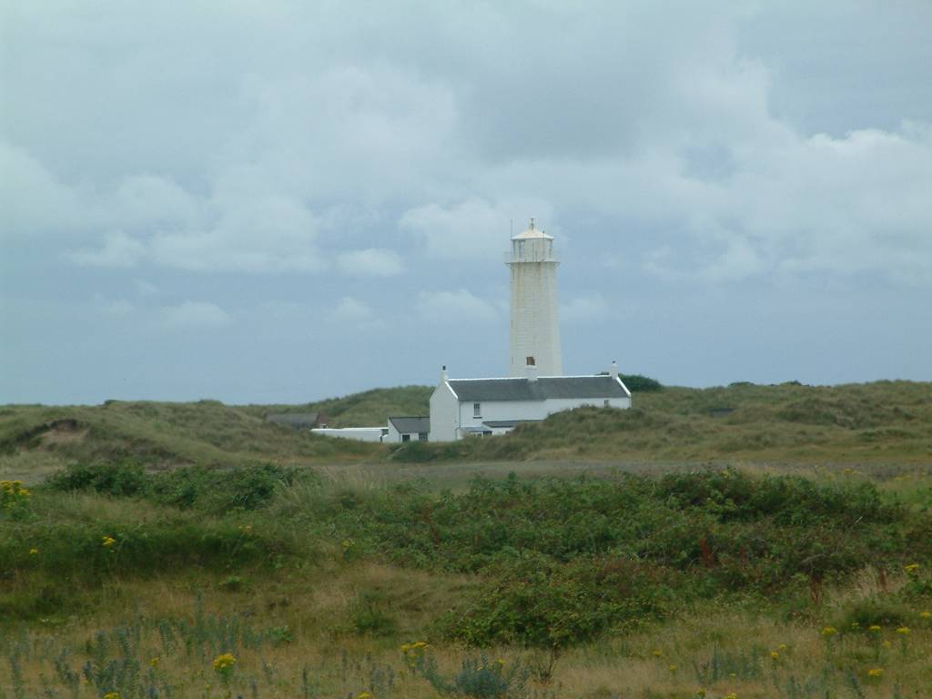 Click now to see this image full size.