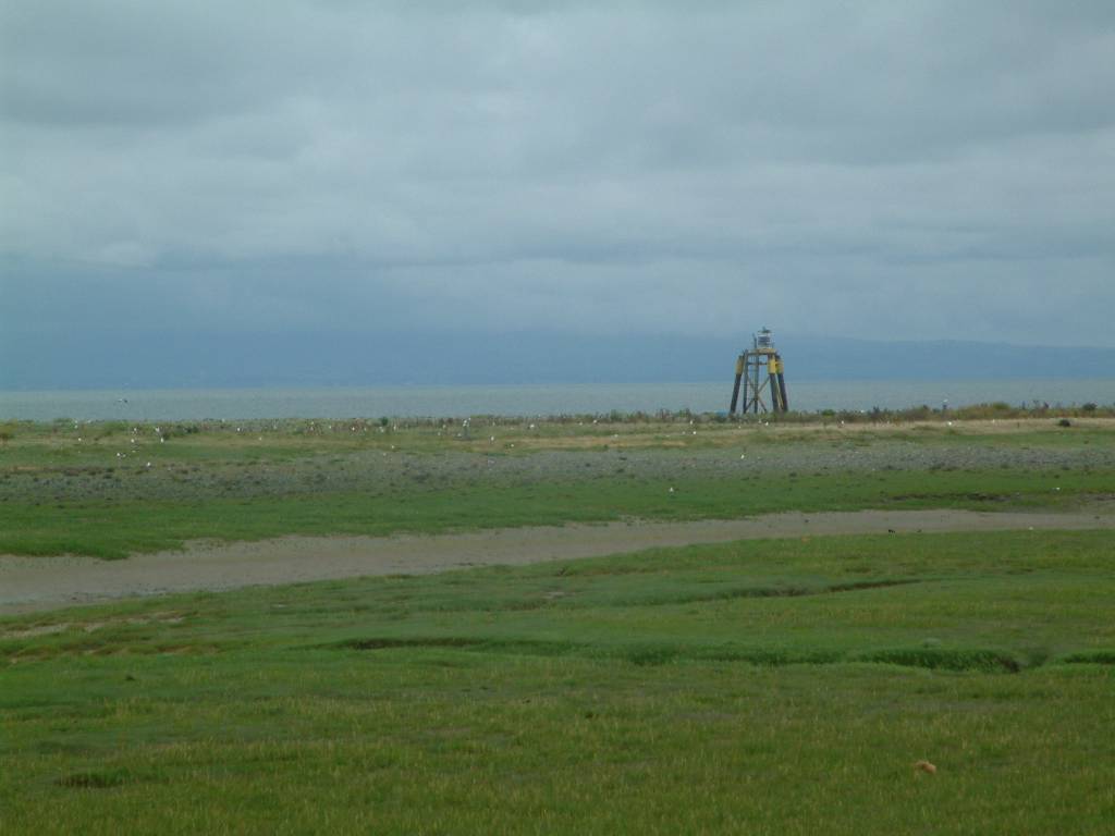 Click now to see this image full size.