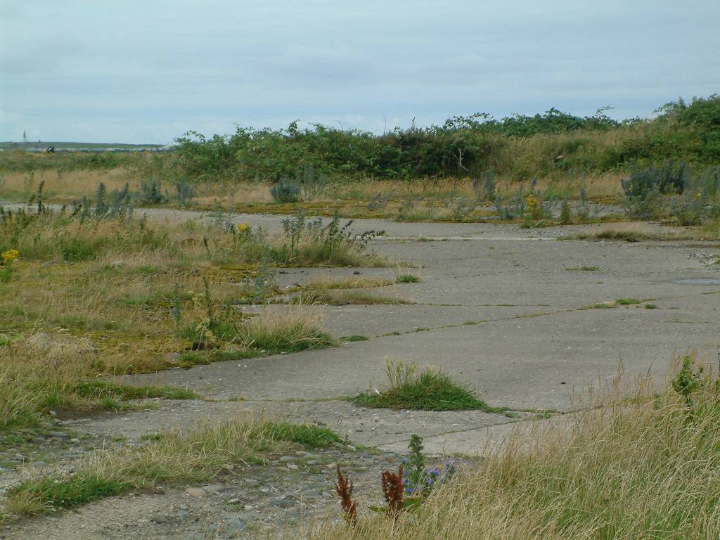 Click now to see this image full size.