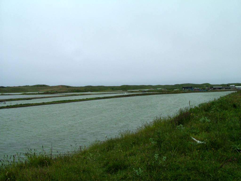 Click now to see this image full size.