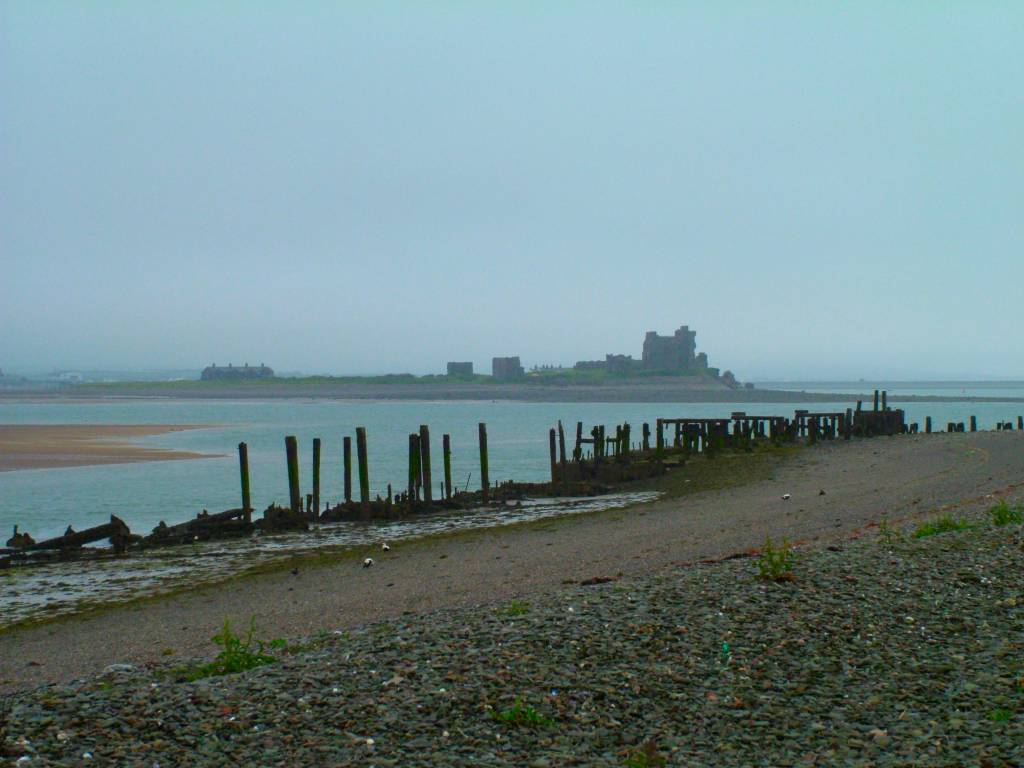 Click now to see this image full size.