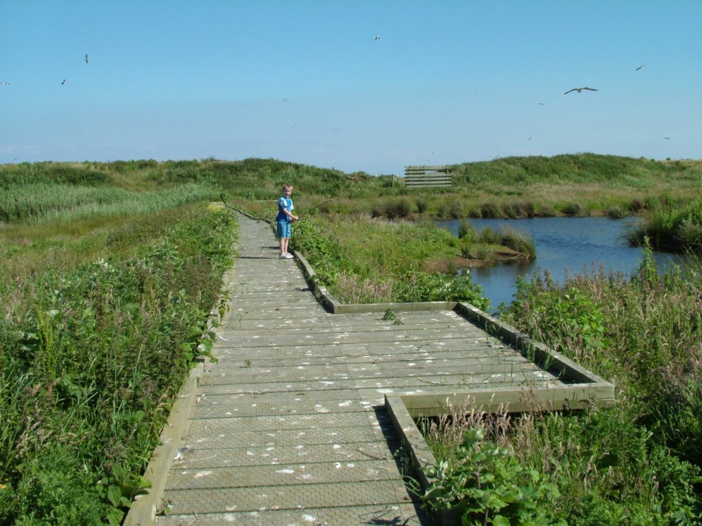 Click now to see this image full size.