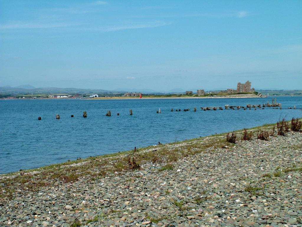 Click now to see this image full size.