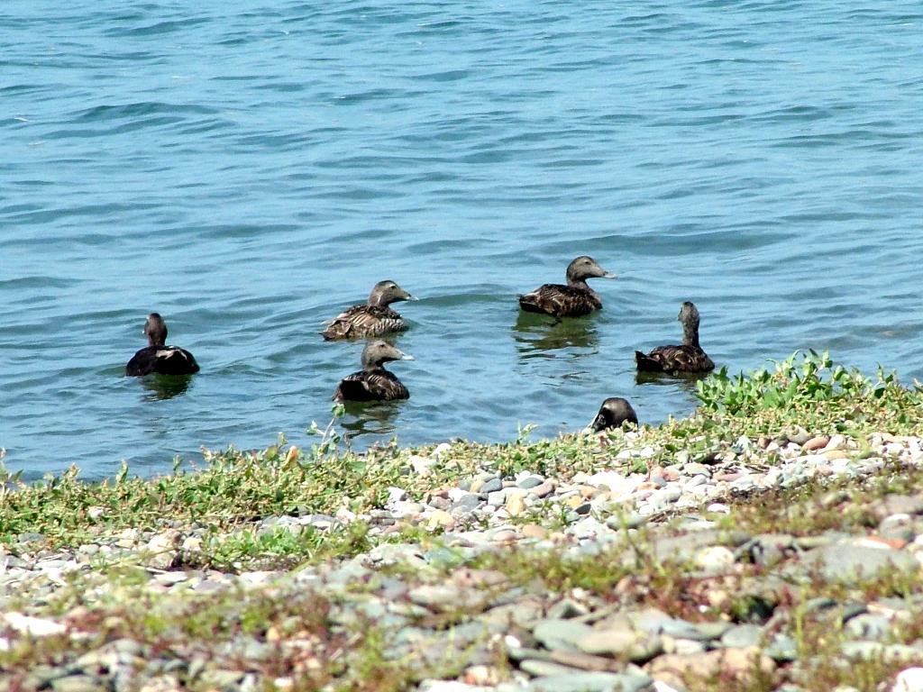 Click now to see this image full size.