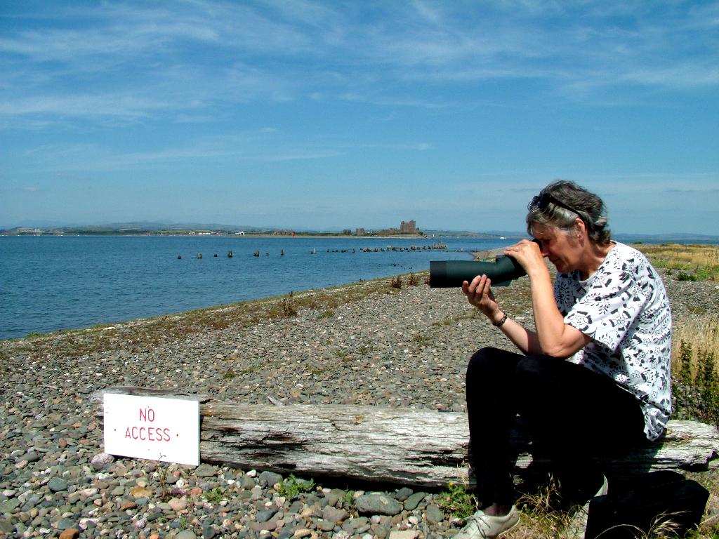 Click now to see this image full size.