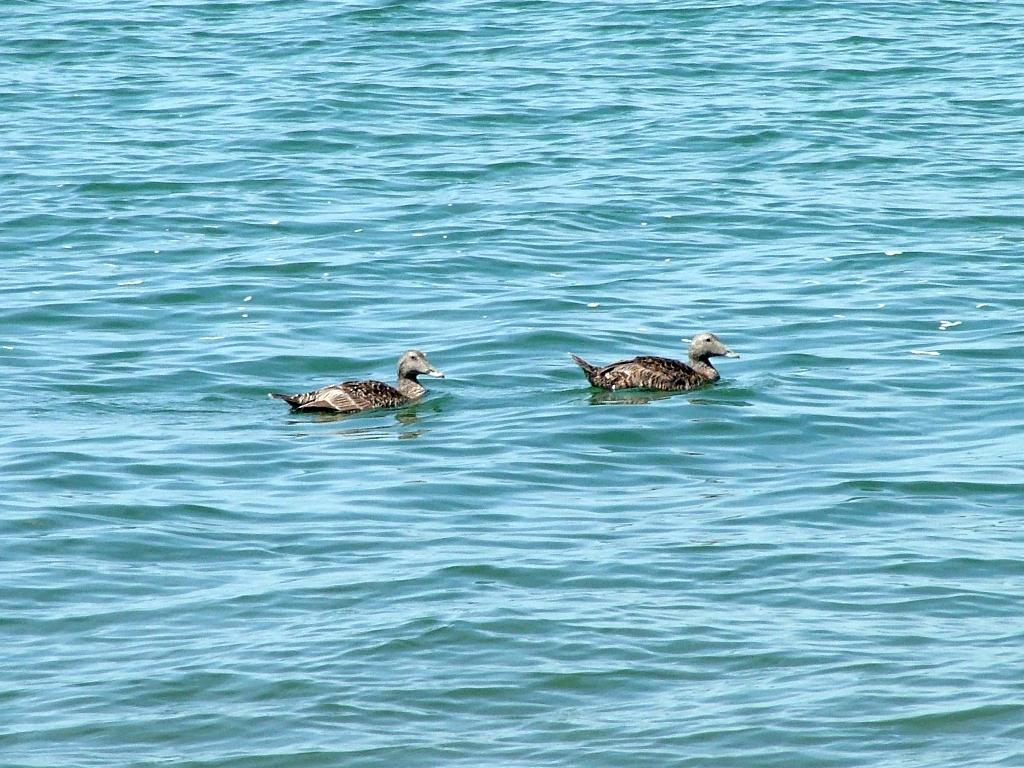 Click now to see this image full size.