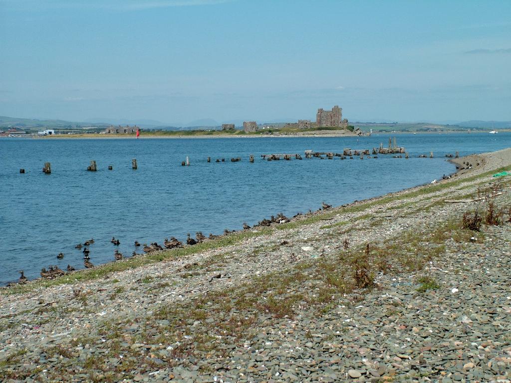 Click now to see this image full size.