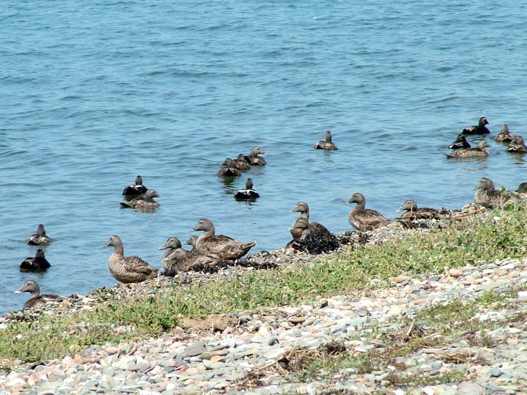 Click now to see this image full size.