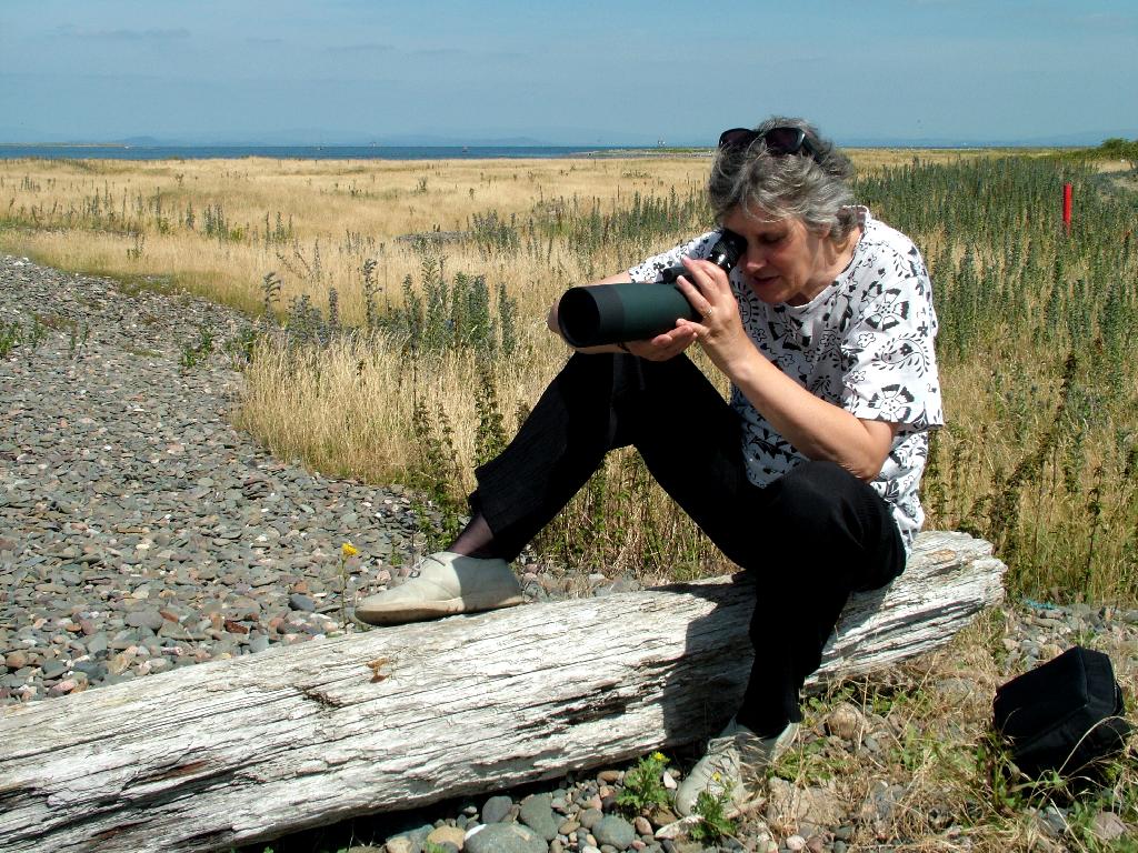 Click now to see this image full size.