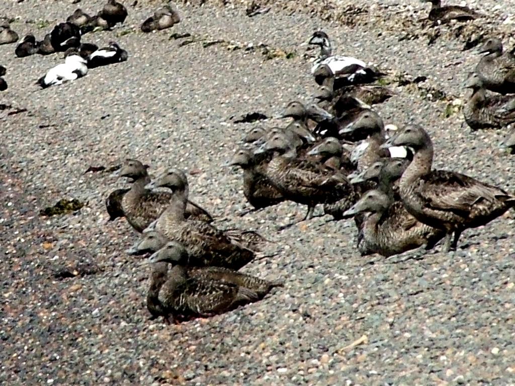 Click now to see this image full size.