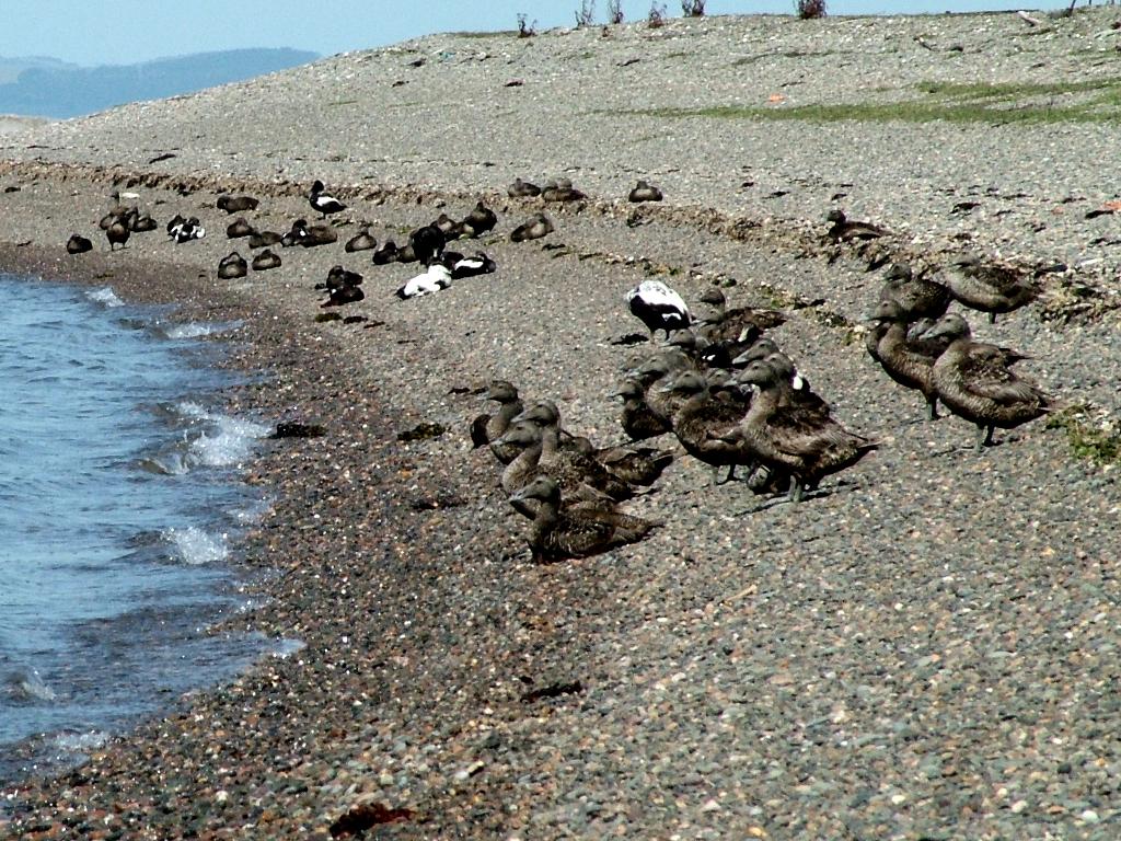 Click now to see this image full size.