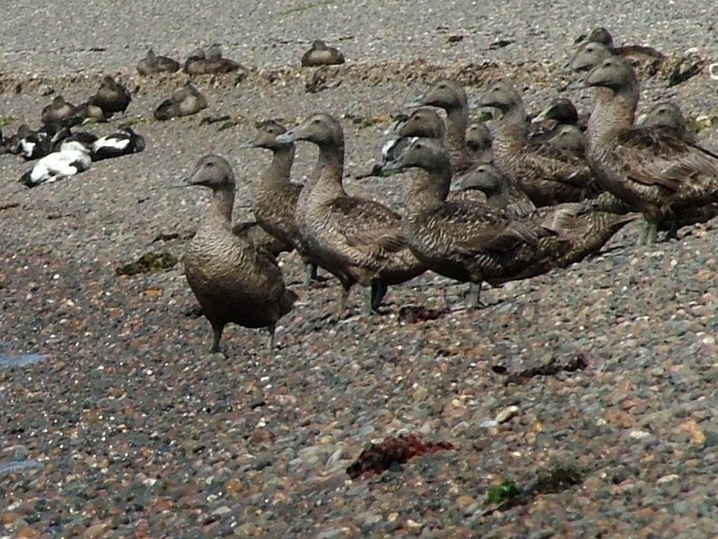 Click now to see this image full size.