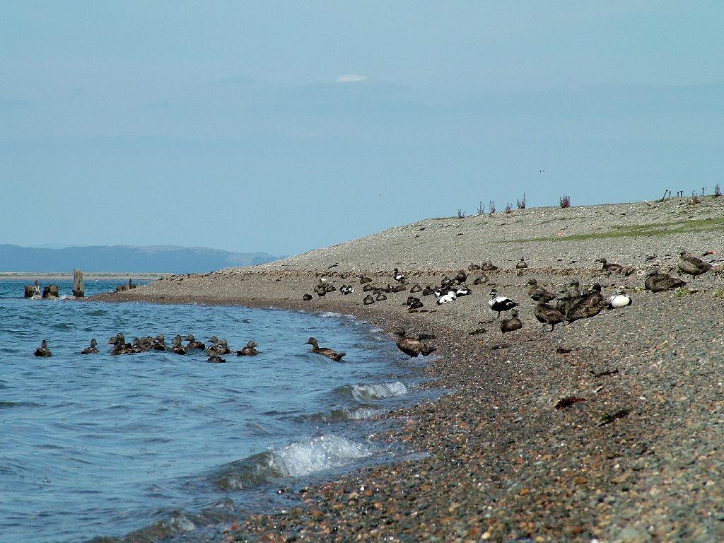 Click now to see this image full size.