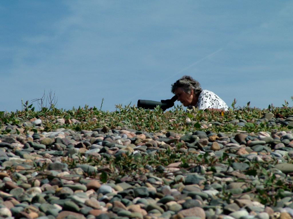 Click now to see this image full size.