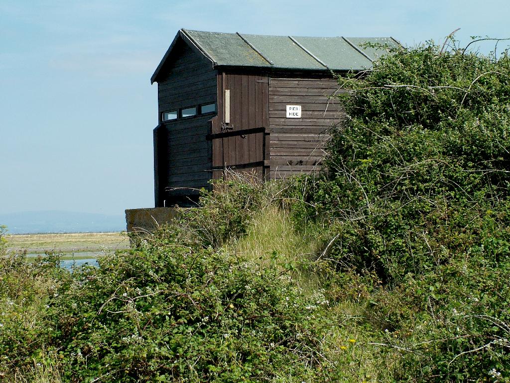 Click now to see this image full size.