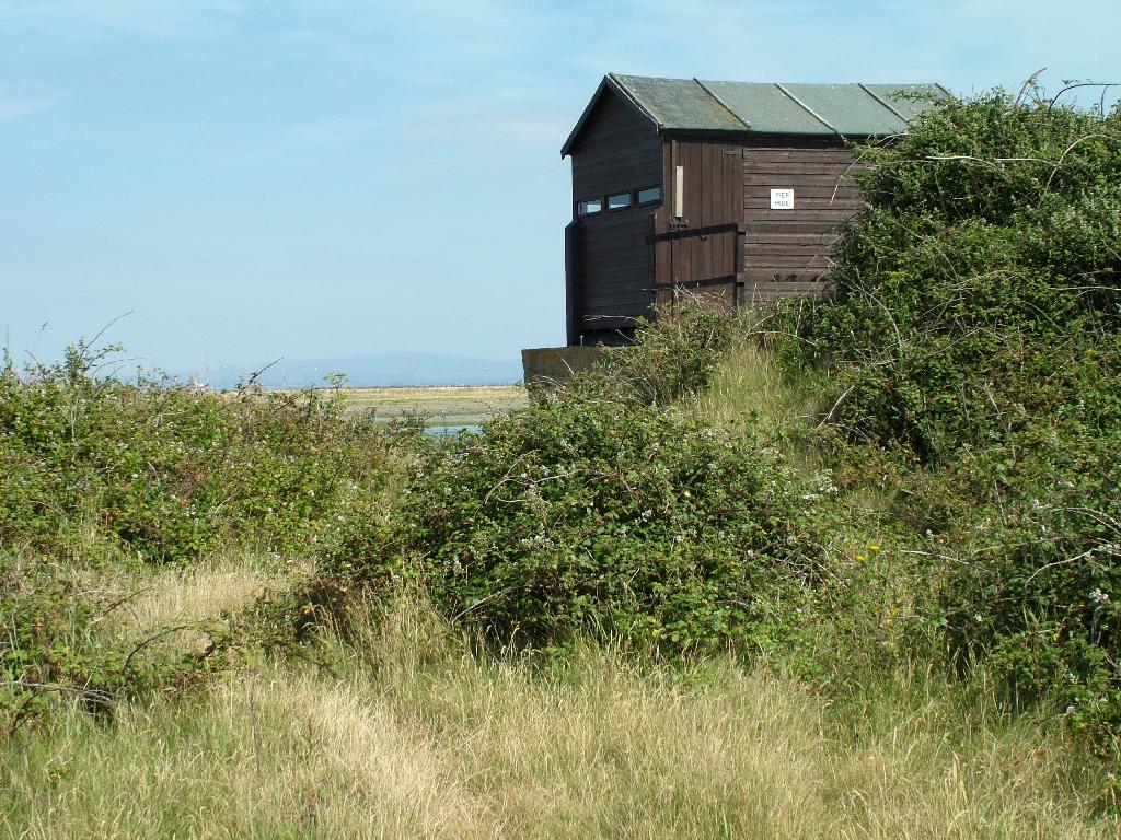 Click now to see this image full size.