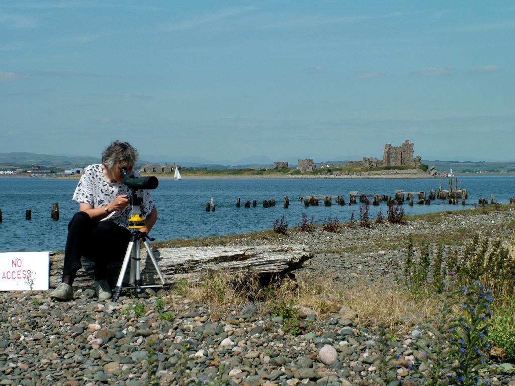 Click now to see this image full size.