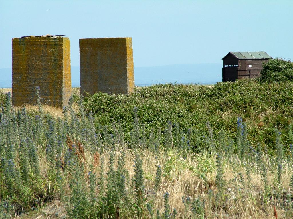 Click now to see this image full size.