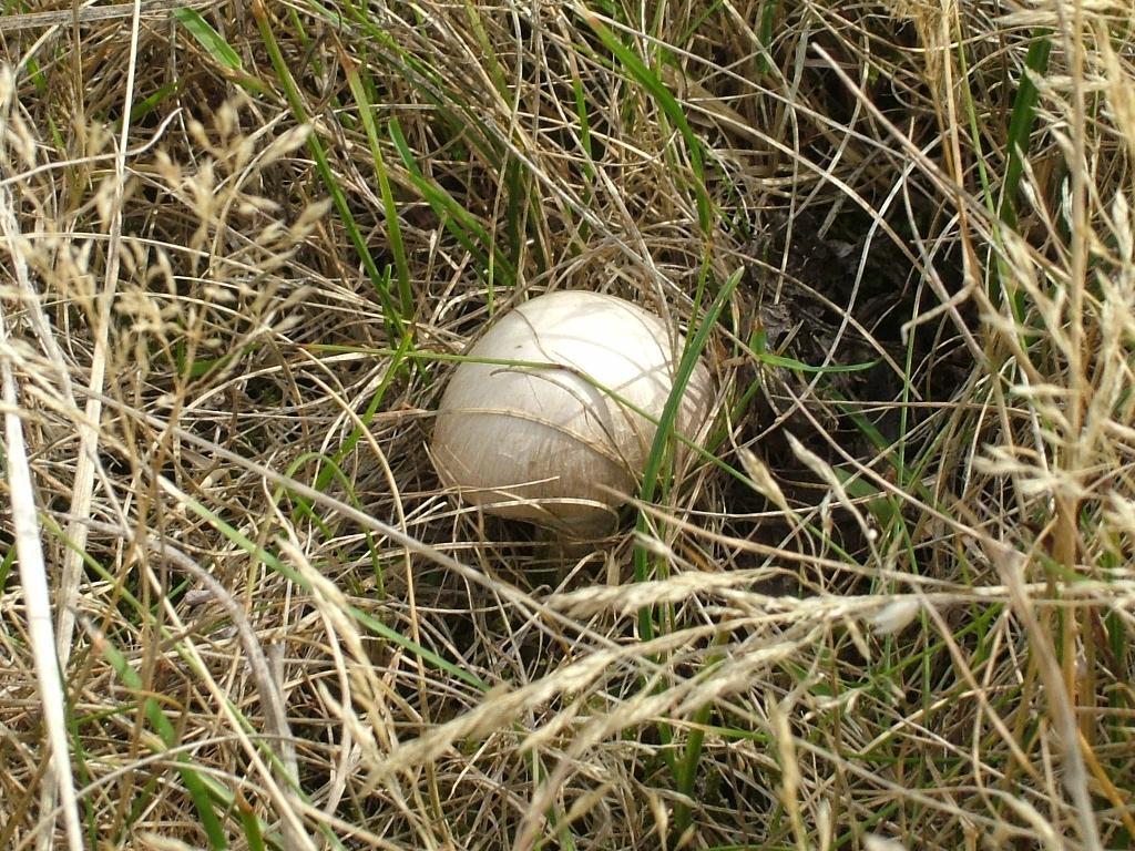 Click now to see this image full size.