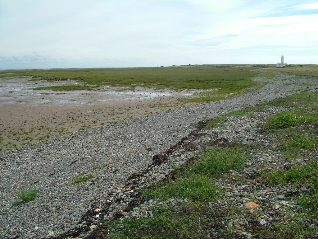 Click now to see this image full size.