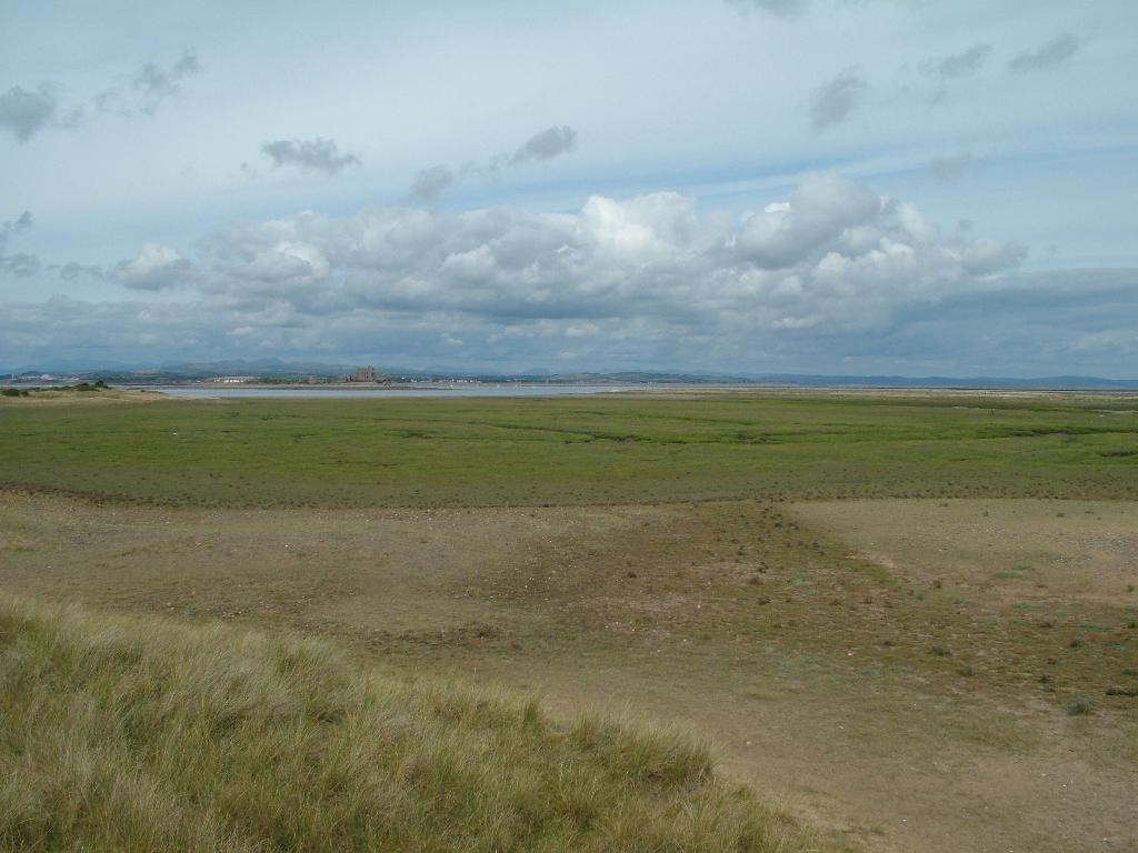 Click now to see this image full size.