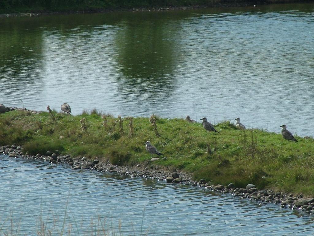 Click now to see this image full size.