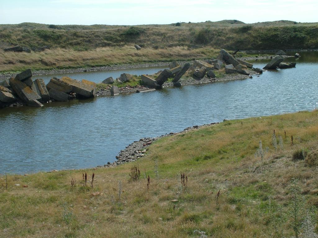 Click now to see this image full size.