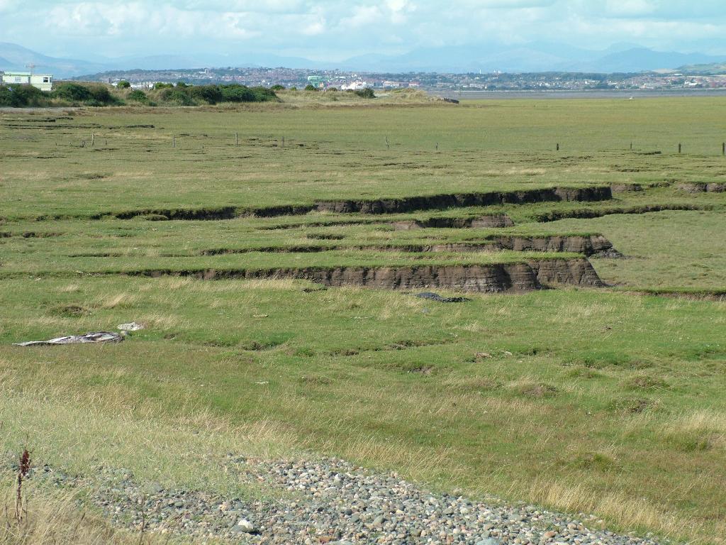 Click now to see this image full size.