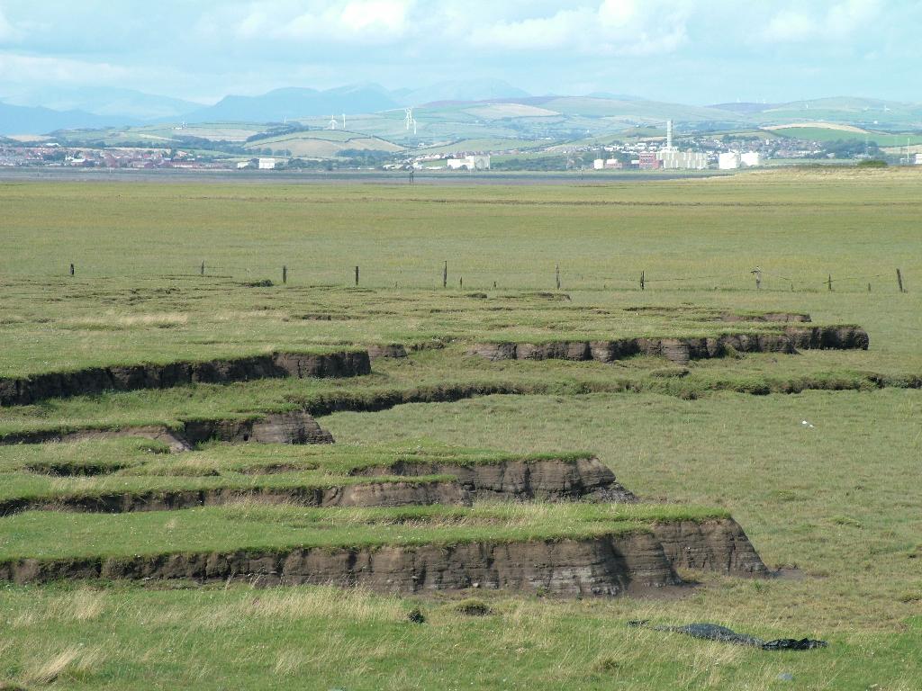 Click now to see this image full size.