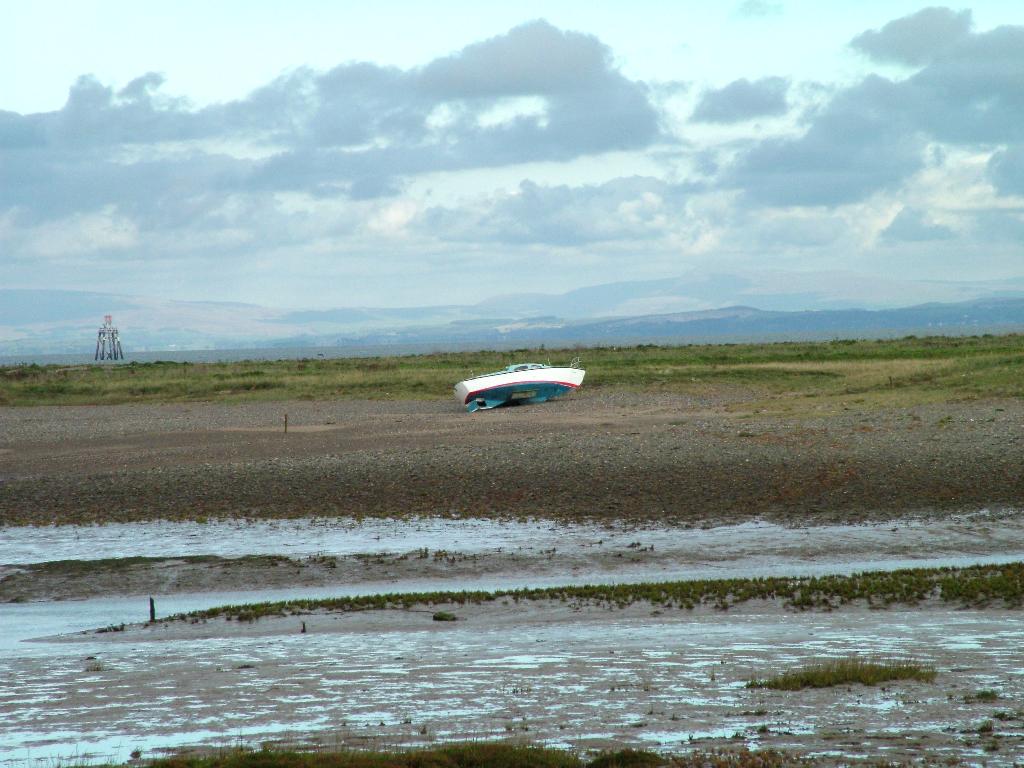 Click now to see this image full size.