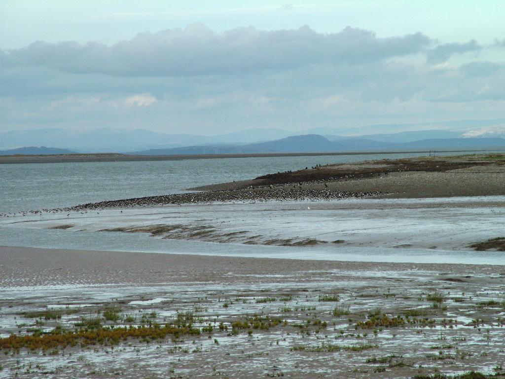 Click now to see this image full size.