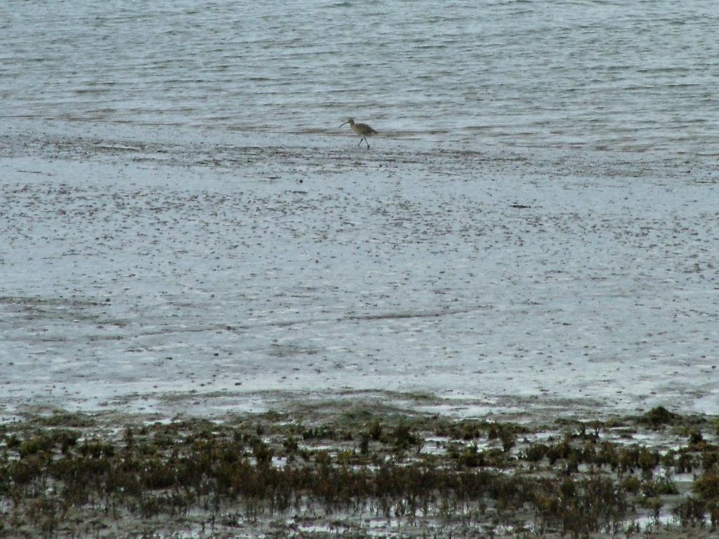 Click now to see this image full size.