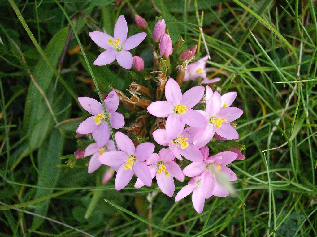 Click now to see this image full size.