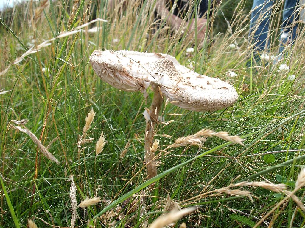 Click now to see this image full size.