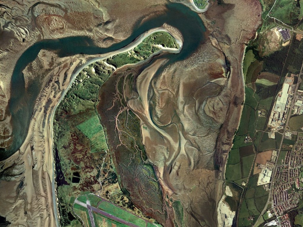 Click now to see this image full size.