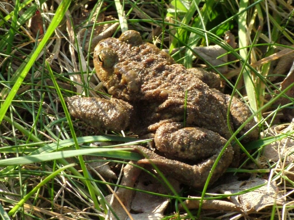 Click now to see this image full size.