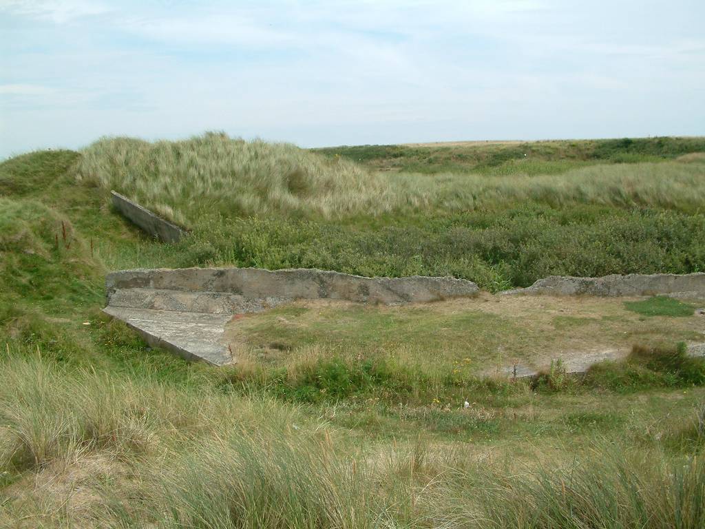 Click now to see this image full size.