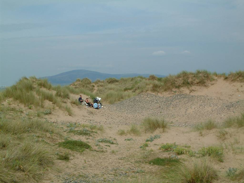 Click now to see this image full size.