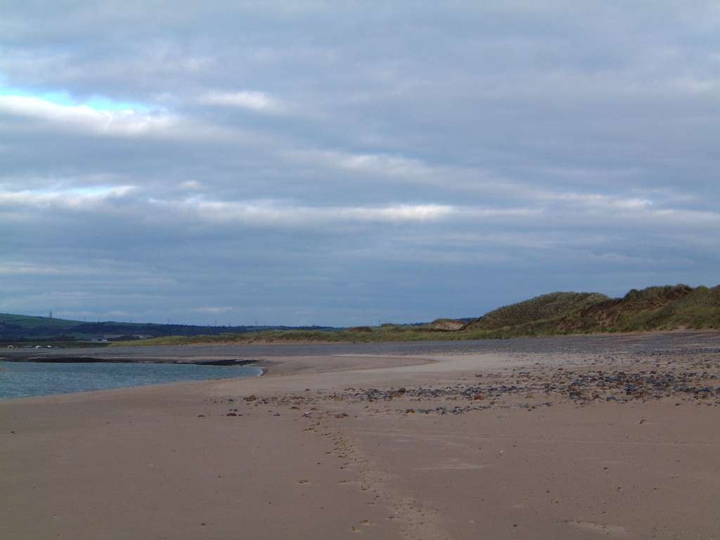 Click now to see this image full size.