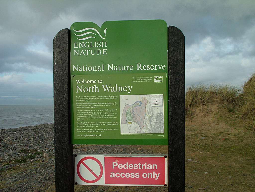 Click now to see this image full size.