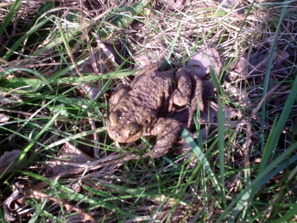 Click now to see this image full size.