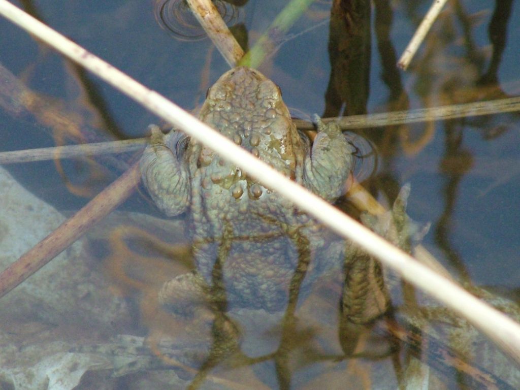 Click now to see this image full size.