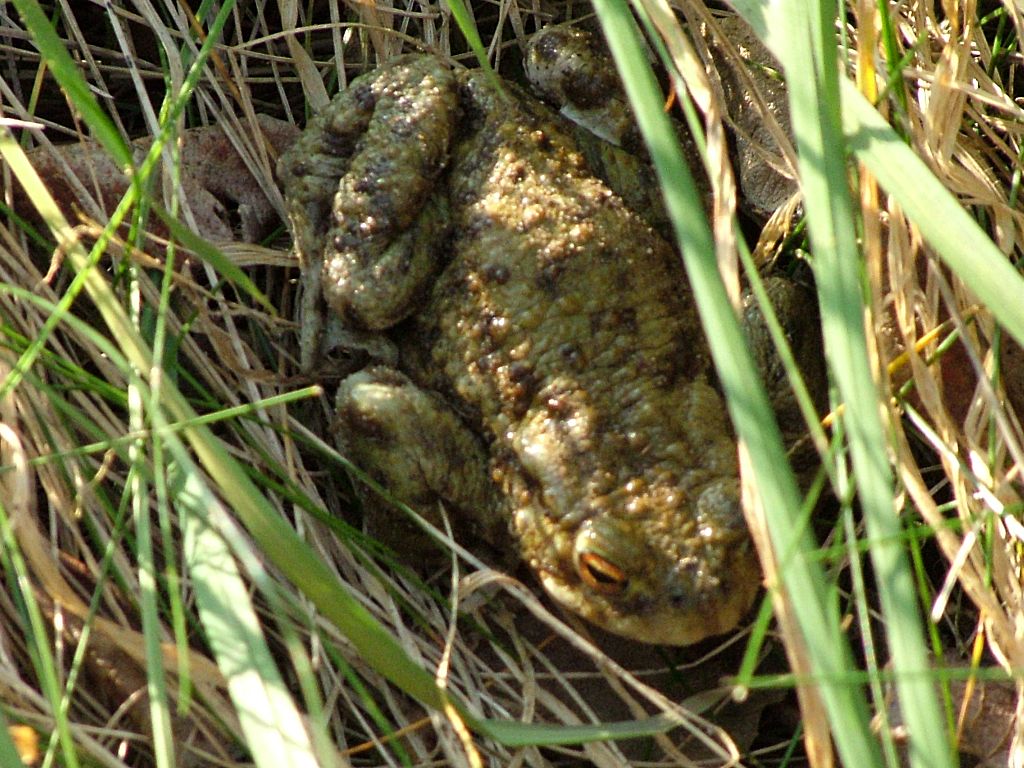 Click now to see this image full size.